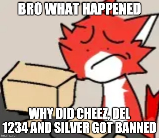 distraught | BRO WHAT HAPPENED; WHY DID CHEEZ, DEL 1234 AND SILVER GOT BANNED | image tagged in distraught | made w/ Imgflip meme maker