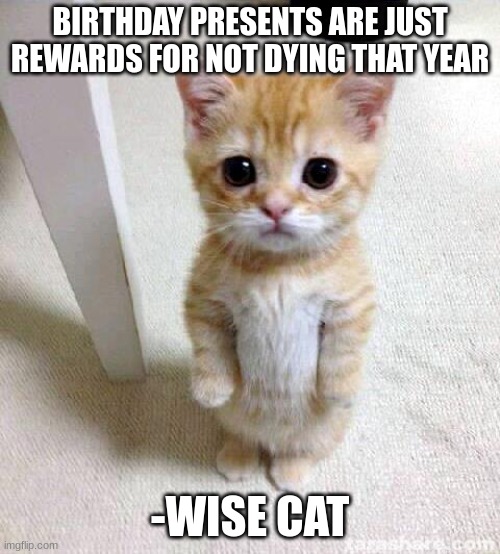 Hope you have a happy birthday when it gets here :D | BIRTHDAY PRESENTS ARE JUST REWARDS FOR NOT DYING THAT YEAR; -WISE CAT | image tagged in memes,cute cat | made w/ Imgflip meme maker