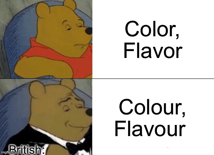 Sorry for being honest but I think that “colour” is fancier | Color, Flavor; Colour, Flavour; British: | image tagged in memes,tuxedo winnie the pooh | made w/ Imgflip meme maker