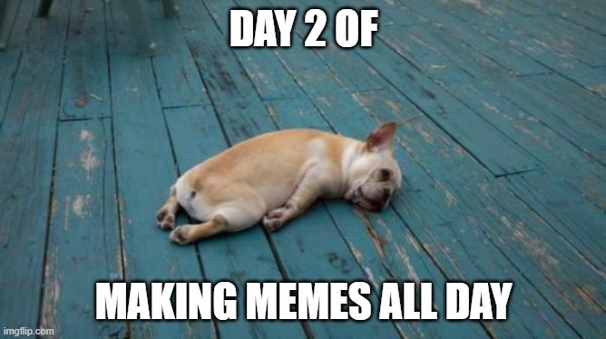 tiring | DAY 2 OF; MAKING MEMES ALL DAY | image tagged in tired dog | made w/ Imgflip meme maker