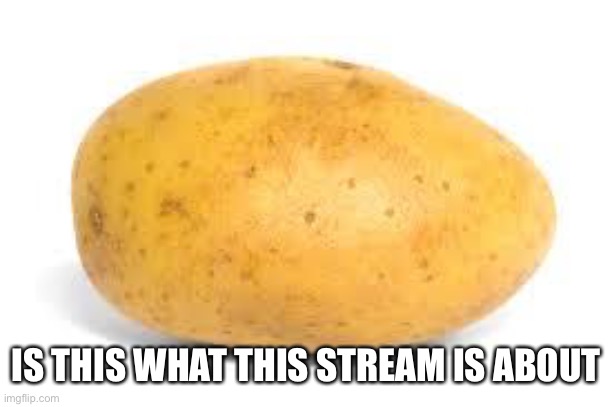 Potato | IS THIS WHAT THIS STREAM IS ABOUT | image tagged in potato | made w/ Imgflip meme maker