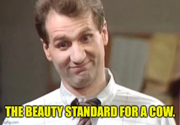Al Bundy Yeah Right | THE BEAUTY STANDARD FOR A COW. | image tagged in al bundy yeah right | made w/ Imgflip meme maker