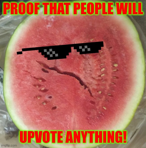Grouchy Melon | PROOF THAT PEOPLE WILL; UPVOTE ANYTHING! | image tagged in grouchy melon | made w/ Imgflip meme maker