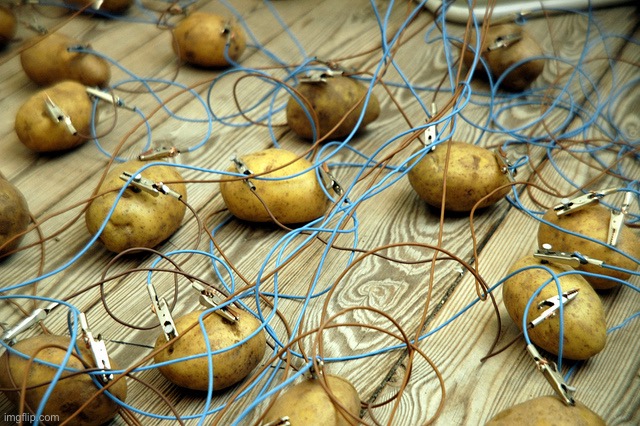 potato servers | image tagged in potato servers | made w/ Imgflip meme maker