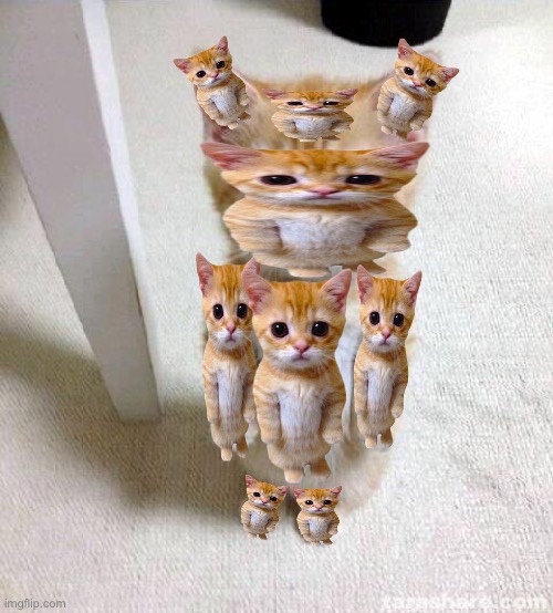 The El Gato Machine | image tagged in memes,cute cat,el gato,machine | made w/ Imgflip meme maker