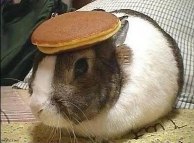 bunny pancake | image tagged in bunny pancake | made w/ Imgflip meme maker