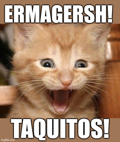 Excited Cat Meme | ERMAGERSH! TAQUITOS! | image tagged in memes,excited cat | made w/ Imgflip meme maker