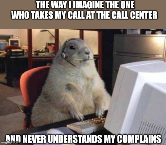 Call Center Animal | THE WAY I IMAGINE THE ONE WHO TAKES MY CALL AT THE CALL CENTER; AND NEVER UNDERSTANDS MY COMPLAINS | image tagged in call center animal | made w/ Imgflip meme maker