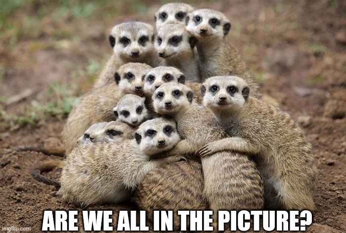 Animals Hugging | ARE WE ALL IN THE PICTURE? | image tagged in animals hugging | made w/ Imgflip meme maker