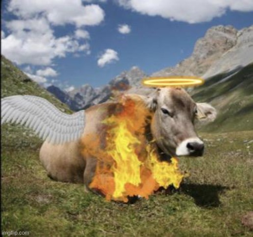 holy cow thats lit | image tagged in holy cow thats lit | made w/ Imgflip meme maker