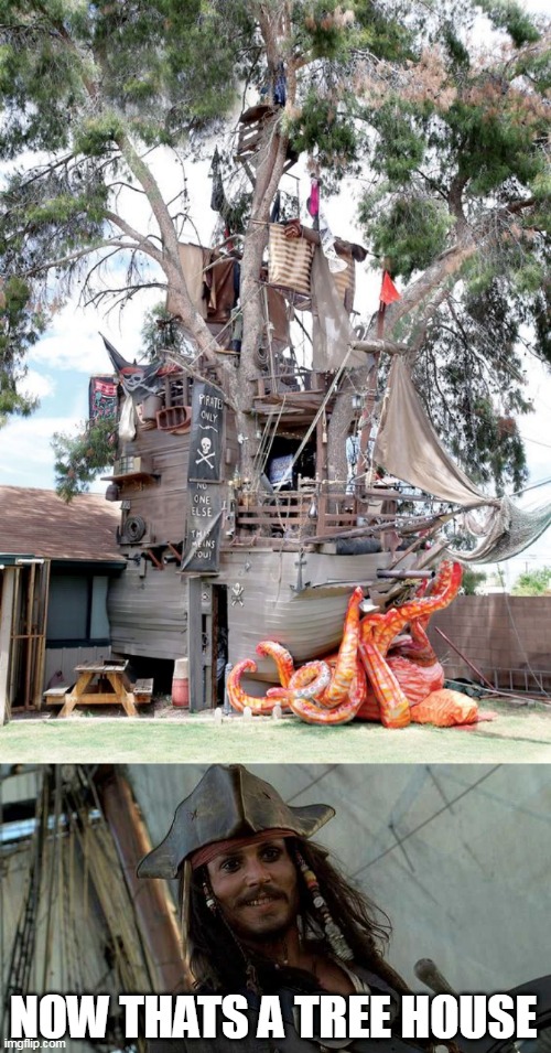 PIRATE TREE HOUSE | NOW THATS A TREE HOUSE | image tagged in jack oh i like that,pirate,pirates | made w/ Imgflip meme maker