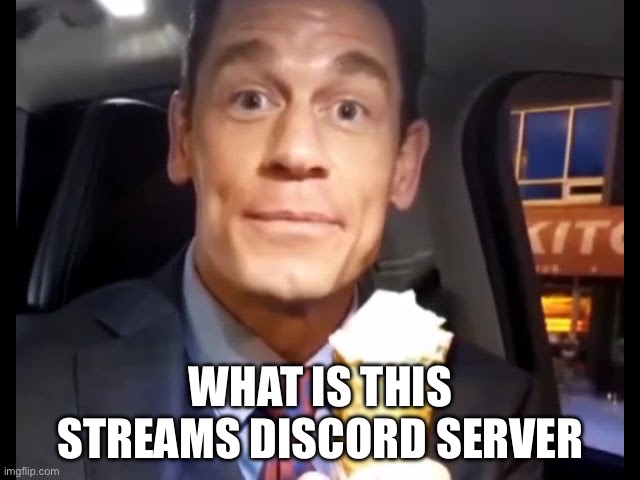 Pls | WHAT IS THIS STREAMS DISCORD SERVER | image tagged in bing chilling | made w/ Imgflip meme maker