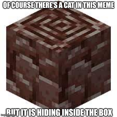 Ancient Debris | OF COURSE THERE'S A CAT IN THIS MEME; BUT IT IS HIDING INSIDE THE BOX | image tagged in ancient debris | made w/ Imgflip meme maker