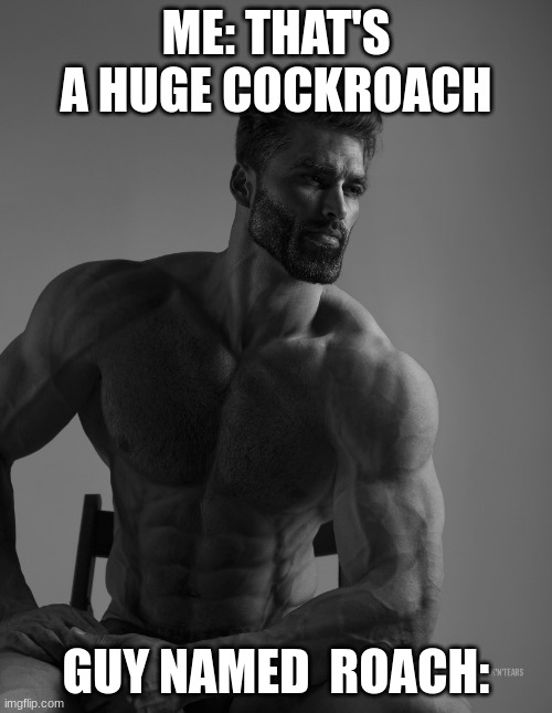 What's your size | ME: THAT'S A HUGE COCKROACH; GUY NAMED  ROACH: | image tagged in giga chad,funny,funny memes,dark humor,chad,sigma | made w/ Imgflip meme maker
