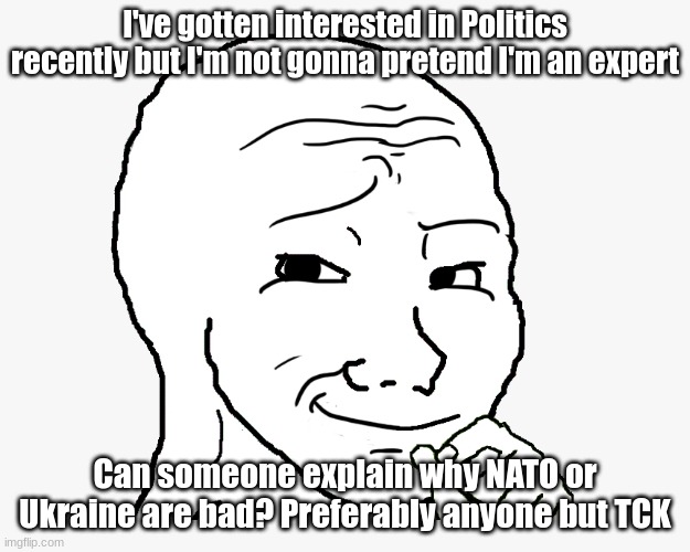 smug wojak | I've gotten interested in Politics recently but I'm not gonna pretend I'm an expert; Can someone explain why NATO or Ukraine are bad? Preferably anyone but TCK | image tagged in smug wojak | made w/ Imgflip meme maker