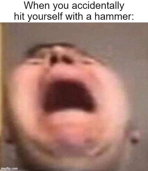 AAAAAAAAAAAAAAAAAAAA | When you accidentally hit yourself with a hammer: | image tagged in hammer,pain,memes,funny,relatable memes,ow | made w/ Imgflip meme maker
