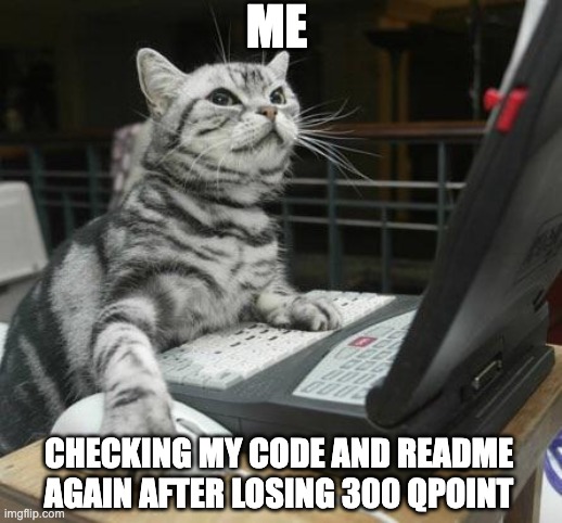 Coding Cat | ME; CHECKING MY CODE AND README AGAIN AFTER LOSING 300 QPOINT | image tagged in coding cat | made w/ Imgflip meme maker