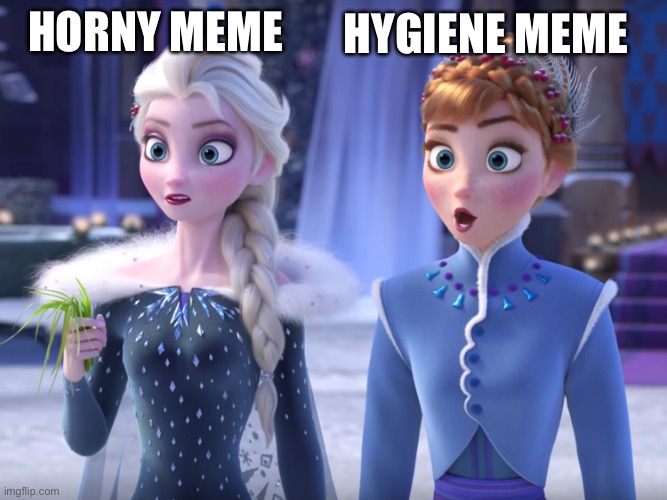 Elsa and Anna SHOCKED! | HORNY MEME HYGIENE MEME | image tagged in elsa and anna shocked | made w/ Imgflip meme maker