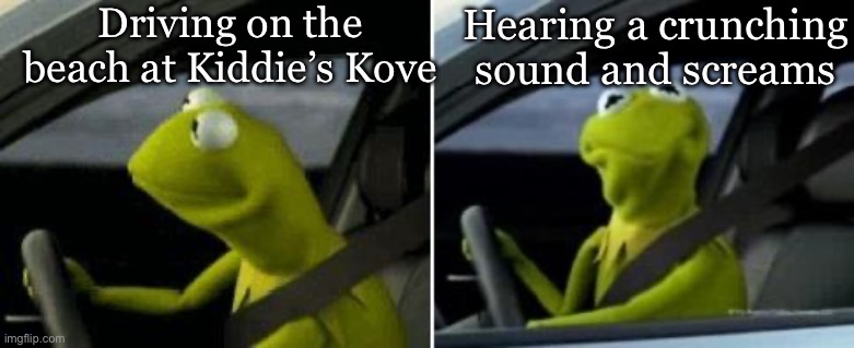 Crunchy screams | Driving on the beach at Kiddie’s Kove; Hearing a crunching sound and screams | image tagged in kermit driver,crunchy,scream,driving,beach | made w/ Imgflip meme maker