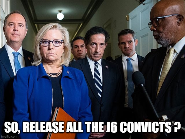 J6 Committee | SO, RELEASE ALL THE J6 CONVICTS ? | image tagged in j6 committee | made w/ Imgflip meme maker