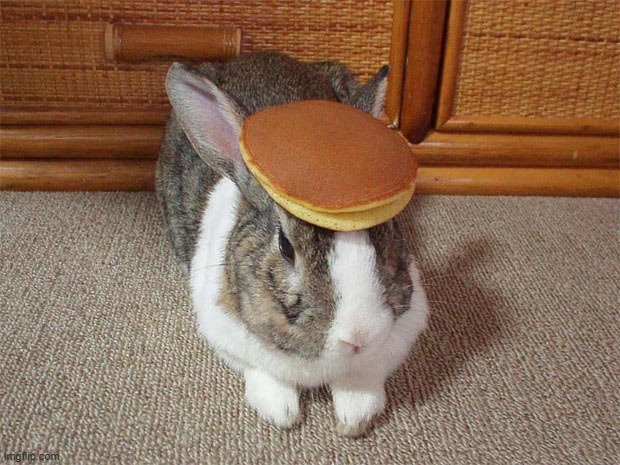 Bunny Pancake | image tagged in bunny pancake | made w/ Imgflip meme maker