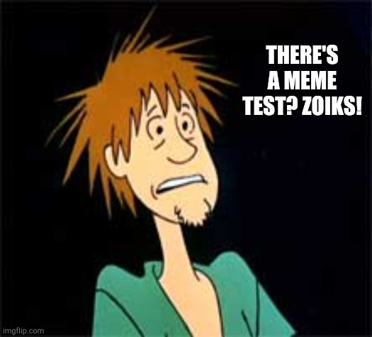 Shaggy - Zoiks | THERE'S A MEME TEST? ZOIKS! | image tagged in shaggy - zoiks | made w/ Imgflip meme maker