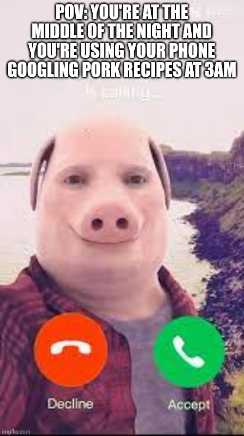 john pork | POV: YOU'RE AT THE MIDDLE OF THE NIGHT AND YOU'RE USING YOUR PHONE GOOGLING PORK RECIPES AT 3AM | image tagged in john pork,memes,3am | made w/ Imgflip meme maker