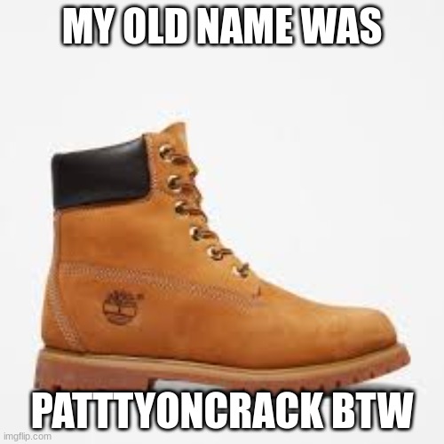 tim | MY OLD NAME WAS; PATTTYONCRACK BTW | image tagged in tim | made w/ Imgflip meme maker