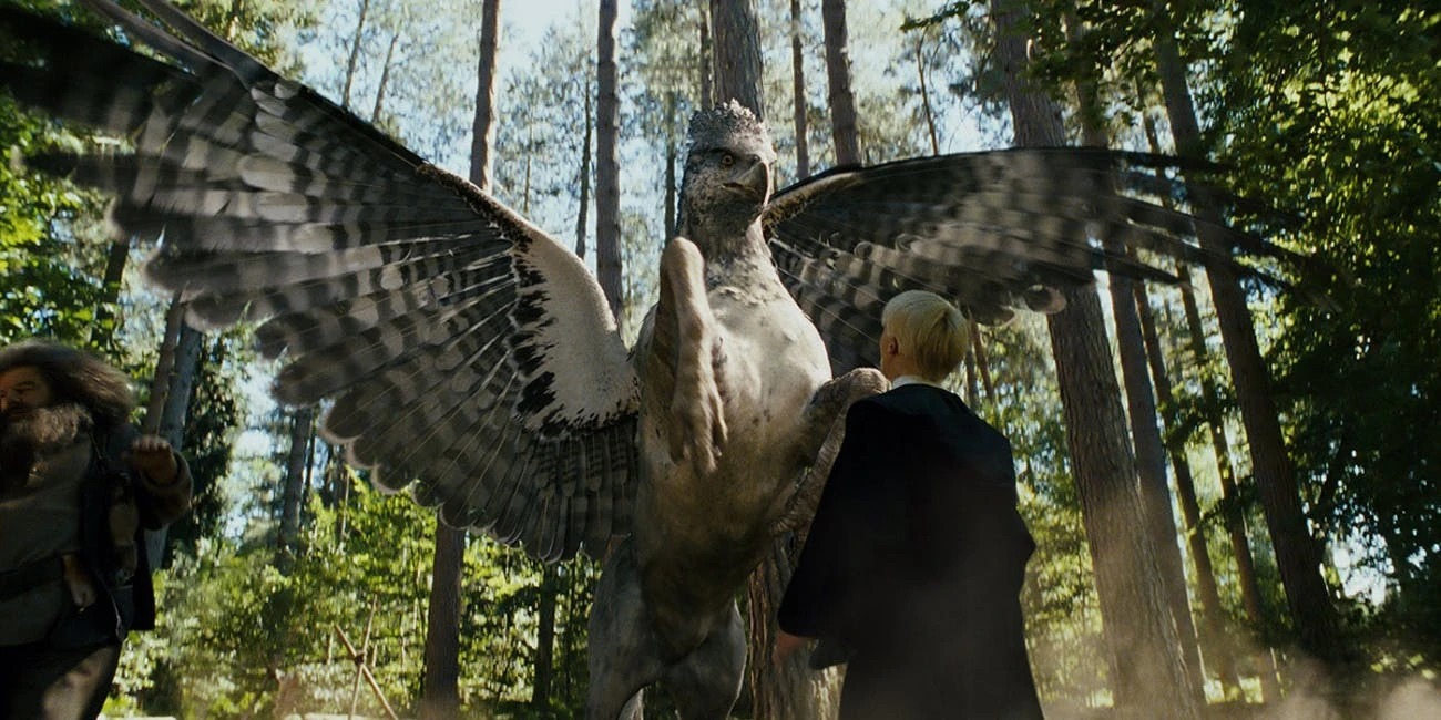 Buckbeak attacking Draco Malfoy Blank Meme Template