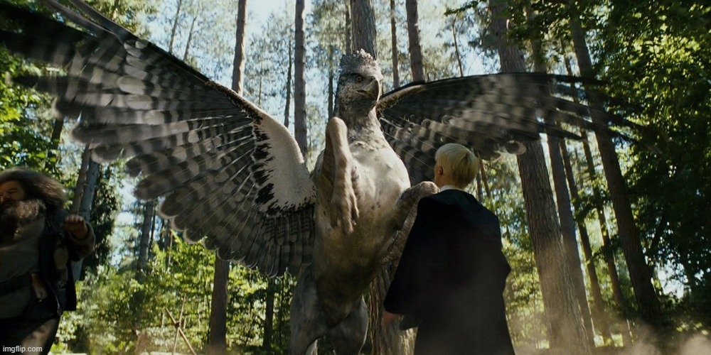 My new template | image tagged in buckbeak attacking draco malfoy | made w/ Imgflip meme maker