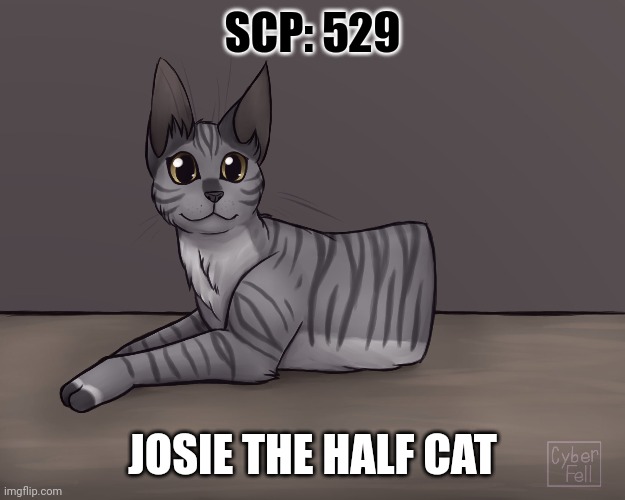 SCP: 529 | SCP: 529; JOSIE THE HALF CAT | image tagged in scp | made w/ Imgflip meme maker