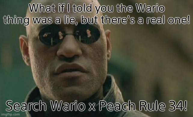 Real this time, I swear! | What if I told you the Wario thing was a lie, but there's a real one! Search Wario x Peach Rule 34! | image tagged in memes,matrix morpheus | made w/ Imgflip meme maker