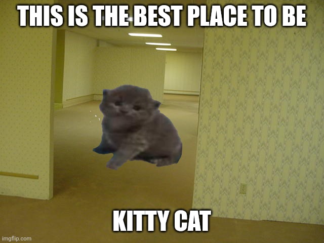 The Backrooms | THIS IS THE BEST PLACE TO BE; KITTY CAT | image tagged in the backrooms | made w/ Imgflip meme maker