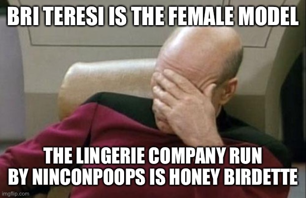 Captain Picard Facepalm Meme | BRI TERESI IS THE FEMALE MODEL THE LINGERIE COMPANY RUN BY NINCONPOOPS IS HONEY BIRDETTE | image tagged in memes,captain picard facepalm | made w/ Imgflip meme maker