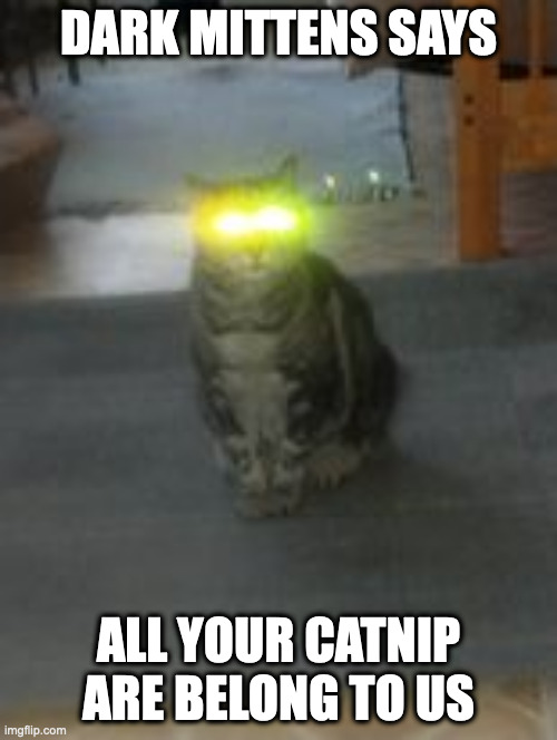 Dark Mittens Catnip | DARK MITTENS SAYS; ALL YOUR CATNIP ARE BELONG TO US | image tagged in dark mittens | made w/ Imgflip meme maker