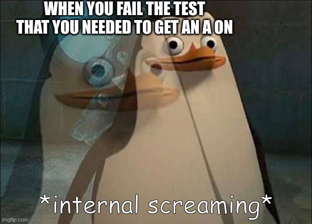 This was me | WHEN YOU FAIL THE TEST THAT YOU NEEDED TO GET AN A ON | image tagged in private internal screaming,school,bad grades,funny,rip | made w/ Imgflip meme maker