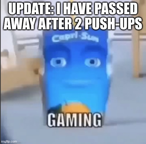 gaming | UPDATE: I HAVE PASSED AWAY AFTER 2 PUSH-UPS | image tagged in gaming | made w/ Imgflip meme maker