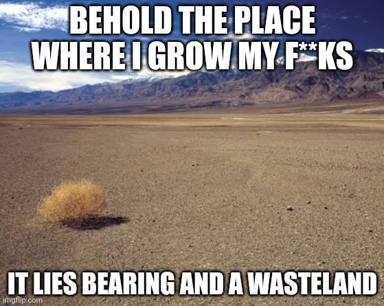 desert tumbleweed | BEHOLD THE PLACE WHERE I GROW MY F**KS; IT LIES BEARING AND A WASTELAND | image tagged in desert tumbleweed | made w/ Imgflip meme maker