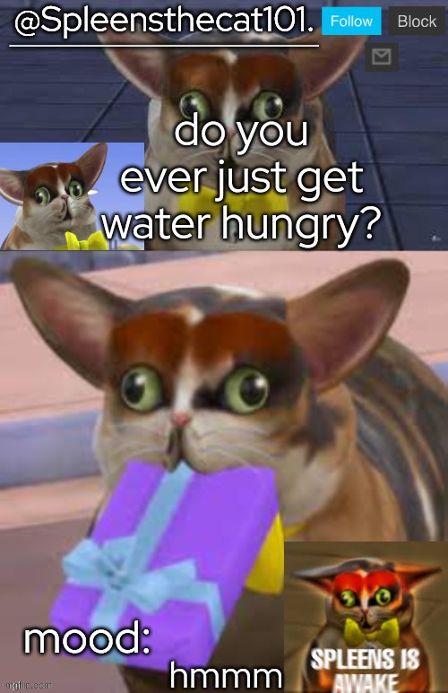 help | do you ever just get water hungry? hmmm | image tagged in spleensthecat101 | made w/ Imgflip meme maker