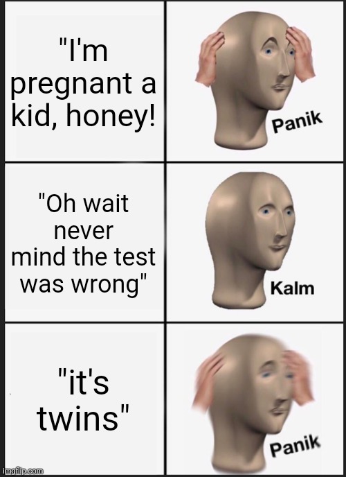 Uh oh | "I'm pregnant a kid, honey! "Oh wait never mind the test was wrong"; "it's twins" | image tagged in memes,panik kalm panik | made w/ Imgflip meme maker