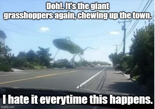NOT photo-shop. It's really on his windshield. | Doh!. It's the giant grasshoppers again, chewing up the town. I hate it everytime this happens. | image tagged in funny,giant monster | made w/ Imgflip meme maker