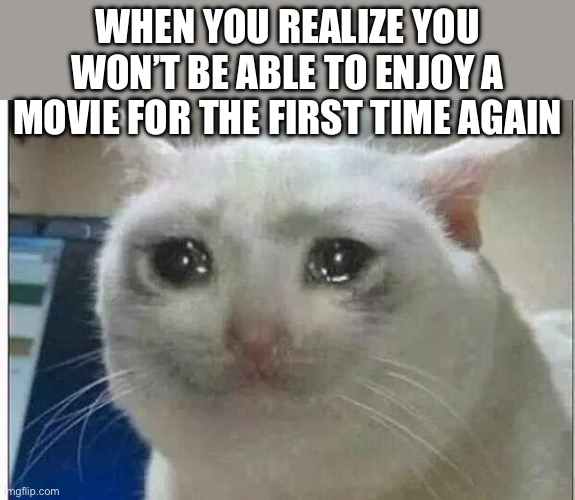 Yes | WHEN YOU REALIZE YOU WON’T BE ABLE TO ENJOY A MOVIE FOR THE FIRST TIME AGAIN | image tagged in crying cat | made w/ Imgflip meme maker