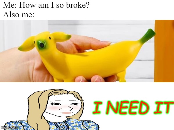 Bananimal Instincts | Me: How am I so broke?
Also me:; I NEED IT | image tagged in bananimal,banana,dog,cute,decoration | made w/ Imgflip meme maker