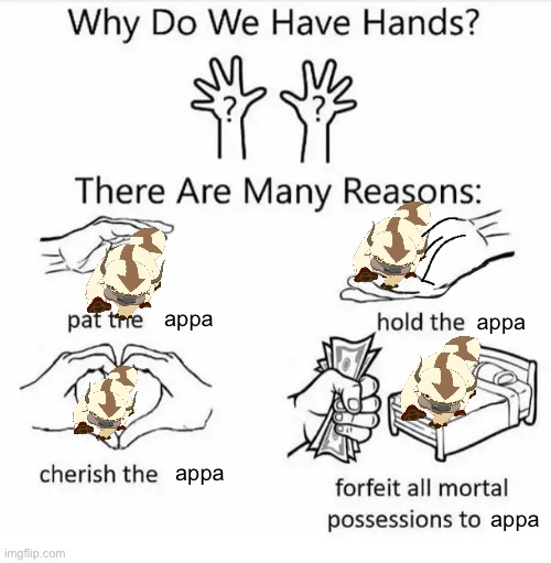 i want to pet him | appa; appa; appa; appa | image tagged in appa,avatar the last airbender,i love him,hes the best,you cant argue,can you | made w/ Imgflip meme maker