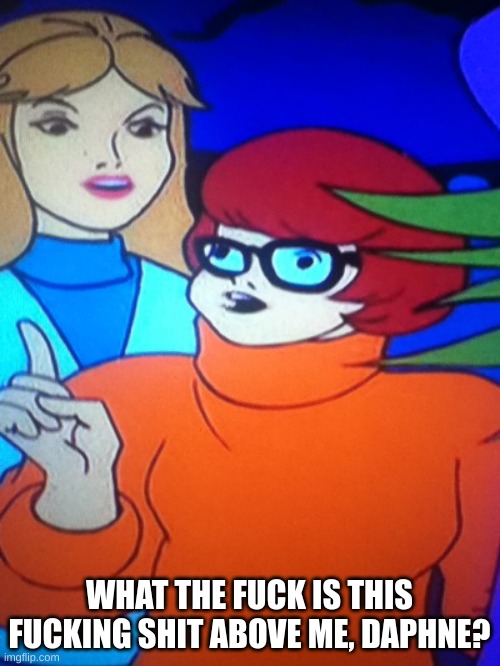 Acualy Velma | WHAT THE FUCK IS THIS FUCKING SHIT ABOVE ME, DAPHNE? | image tagged in acualy velma | made w/ Imgflip meme maker
