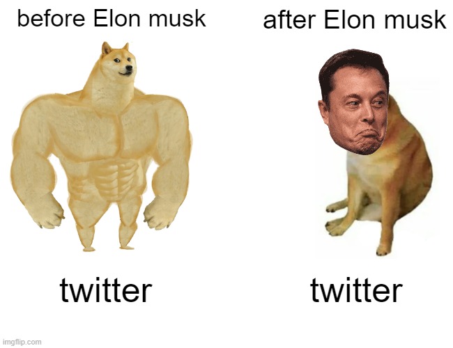 Buff Doge vs. Cheems | before Elon musk; after Elon musk; twitter; twitter | image tagged in memes,buff doge vs cheems | made w/ Imgflip meme maker