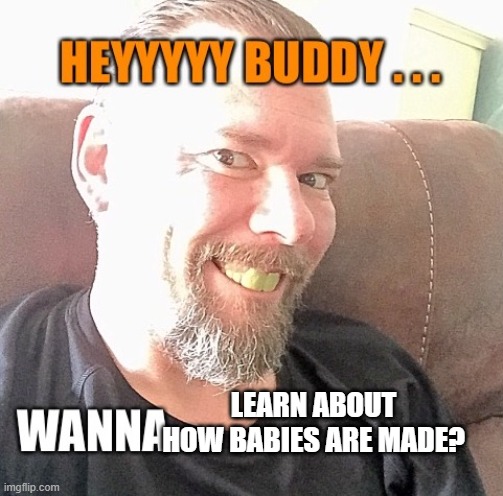 Hey Buddy Wanna | LEARN ABOUT HOW BABIES ARE MADE? | image tagged in hey buddy wanna | made w/ Imgflip meme maker