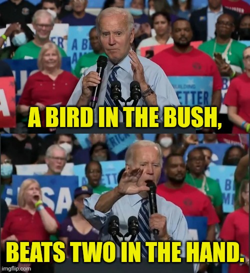 joe biden But Wait There's More | A BIRD IN THE BUSH, BEATS TWO IN THE HAND. | image tagged in joe biden but wait there's more | made w/ Imgflip meme maker