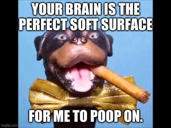 Triumph Comic To Poop On | YOUR BRAIN IS THE PERFECT SOFT SURFACE; FOR ME TO POOP ON. | image tagged in triumph comic to poop on | made w/ Imgflip meme maker