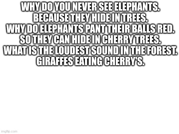 WHY DO YOU NEVER SEE ELEPHANTS.
BECAUSE THEY HIDE IN TREES.
WHY DO ELEPHANTS PANT THEIR BALLS RED.
SO THEY CAN HIDE IN CHERRY TREES.
WHAT IS THE LOUDEST SOUND IN THE FOREST.
GIRAFFES EATING CHERRY'S. | made w/ Imgflip meme maker